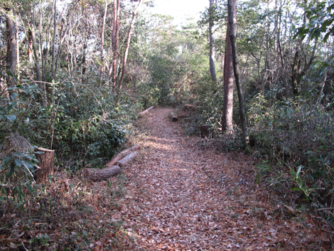 20131223hike (162)